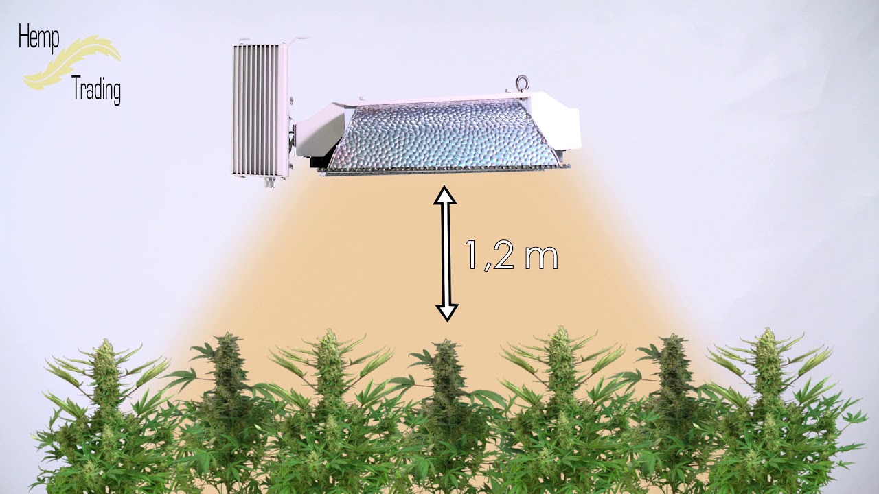 Luminaria Agrolite 1000w Double Ended