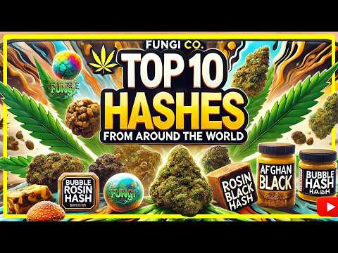 🌍💨 Top 10 Hashes From Around The World | FUNGI Co. 🌱🔥