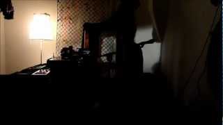 Poppy Ackroyd 2012-11-28 freiburg @ galerie p2 [-story of a bird woman-]