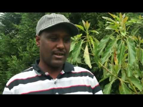 Artisti Kumalaa Addunyaa