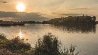 Magna Carta - Father John