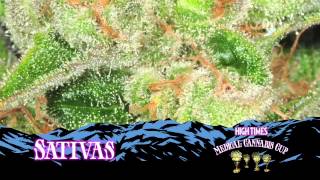 The HIGH TIMES Medical Cannabis Cup in Denver 2012
