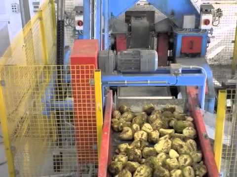 Sugar Beet complete tarahouse