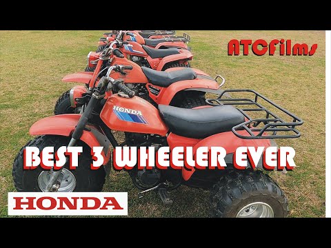 BEST 3 WHEELER EVER? 185s, 200, 200s, 200e, 200es, 200m, 200x
