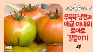 [나는농부다 241회 2부] 무뚝뚝 남편과 애교 아내의 토마토 길들이기