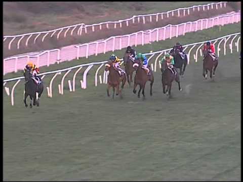 Galoppo 16/01/2015 - 4° corsa