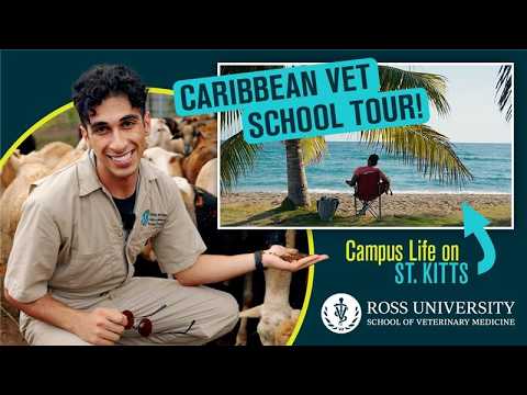 Open video