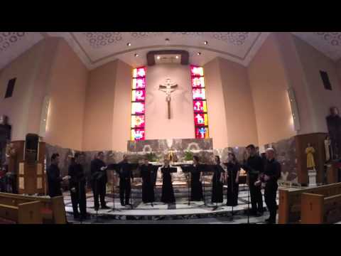 The Marion Consort: Stefano Venturi - Laudate Dominum