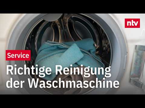So bleibt die Waschmaschine sauber und hält länger - Keime, Bakterien und Schimmel