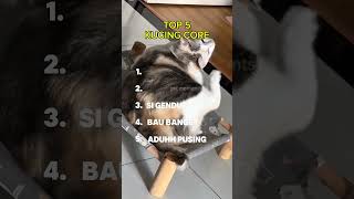 Download lagu TOP 5 KUCING CORE pt 2 #shorts #cat #core #kucing mp3