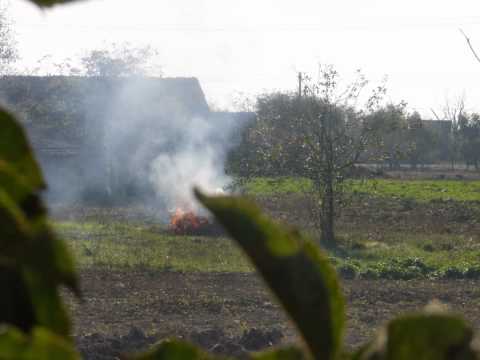 Aer curat la tara la OTELEC-TIMIS