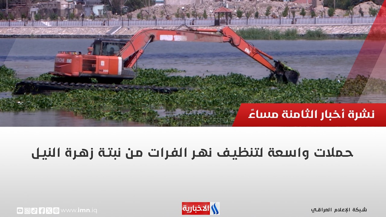 فيديو | حملات واسعة لتنظيف نهر الفرات من نبتة زهرة النيل | تقرير علي حسن