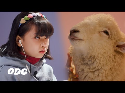 Kids Try To Focus On Studying