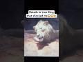 Lion King Details That Shocked Me Lionking Mufasathelionking Mufasa Scar Disney Shorts