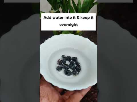 What to eat for acne free skin??| Black Raisins| Morning Routine
