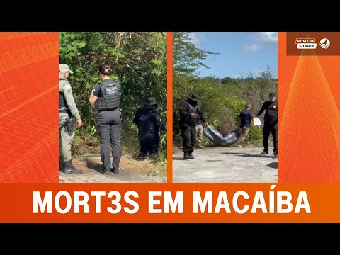 C0RPO decapitado é encontrado em zona de mata em Macaíba