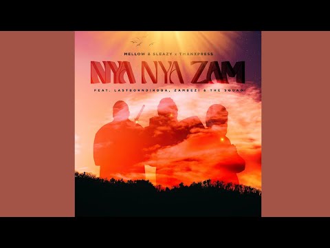 Mellow & Sleazy & Tman Xpress &ndash; Nya Nya Zam (feat. Lastborn Diroba, Zambezi & The Squad)
