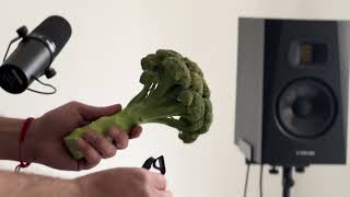Video thumbnail for We turned a Broccoli into a Percussion Drum! by Sampleson