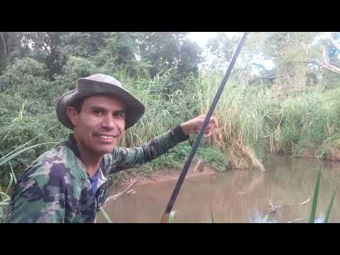 PESCA NO RIO SÃO JERÔNIMO BOM DEMAIS..