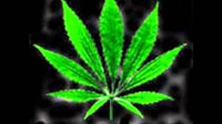 Busta Rhymes we put it down for y all