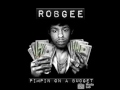 robgee intro