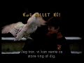 Harry Potter Og De Vises Sten Reklame Trailer På Dansk