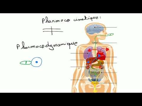 Pharmacologie : Pharmacocinetique et Pharmacodynamique
