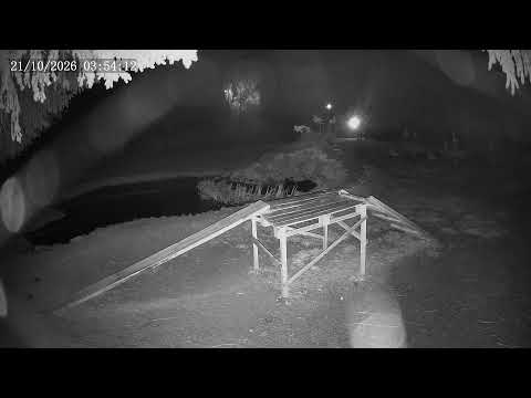 Live webcam view of Stork Pond at Kozubszczyzna Sanctuary