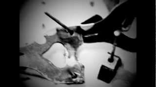 Matthew Cook - &quot;Empty Vessels Make The Loudest Sound&quot;