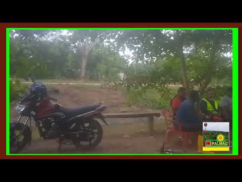 Canal de matuya. Sistema de Riego de los montes de María. (Nomembrome/Nomenombres :Matuya-Matuyita.