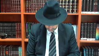 Questions Reponses - Hagada de Pessah Part. 2