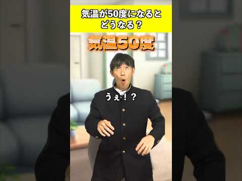 飛行機も近いうちにもっと気候に優しいものになるでしょうか?チップファットがどのように役立つか