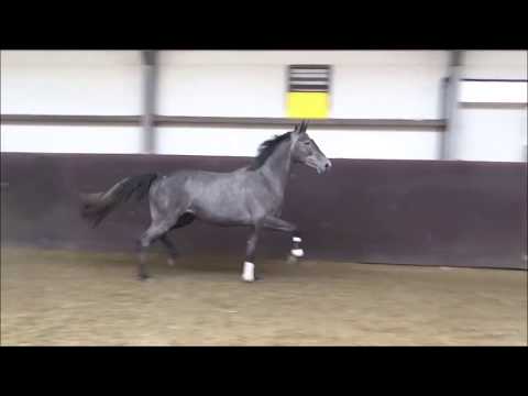 Corlensky G (Cornet Obolensky)-Burggraaf