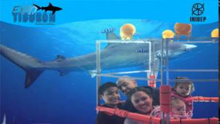 DIA 3 Expo Tiburon67