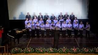 preview picture of video 'Festival dei Cori Cantus Angeli 2014 - Coro de Escibanos Notarius'