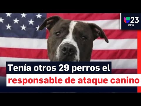 Hallan 29 perros más en casa del responsable del ataque canino en Condado Van Zandt: esto se sabe