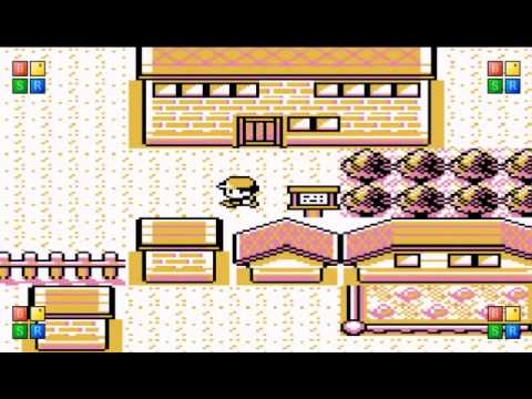 Lets Play Pokemon Brown Part 1