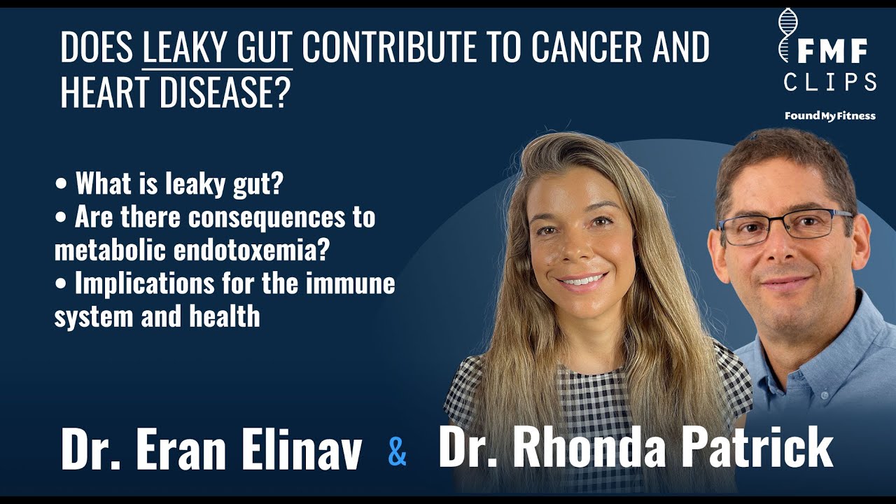 Does leaky gut contribute to cancer and heart disease?  | Dr.  Eran Elinav