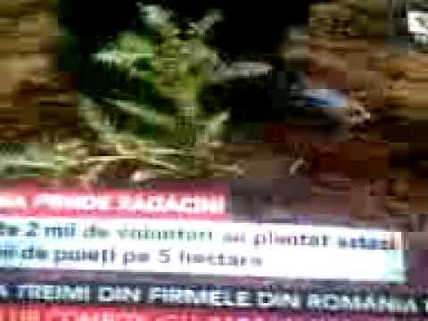 Romania prinde radacini - Sfintesti-Teleorman - Stirile de seara