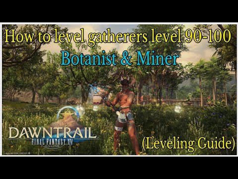How to level gatherers level 90-100 in Dawntrail