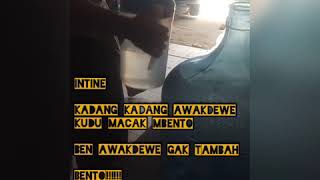 Download lagu Los dol gak rewel nak wes kadong bento mp3