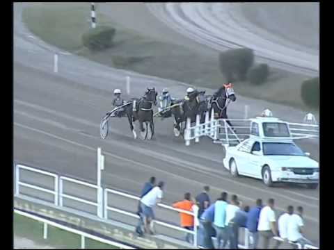 Trotto 12/10/2014 - 8°corsa (3 batterie + finale)