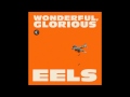 Eels - Open My Present