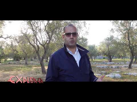 Explorer - Il segreto della pietra nascosta (Minervino)