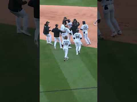 WHITE SOX WALK-OFF 👏 #WhiteSox #MLB #walkoff #baseball