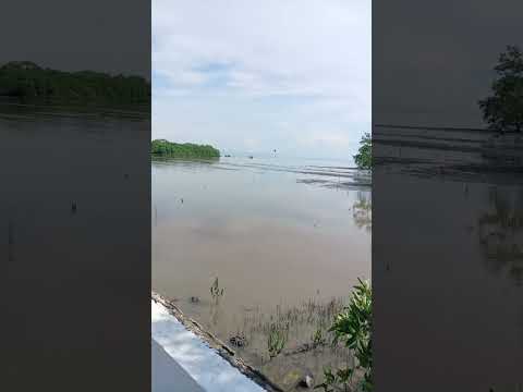 Playa El agallito
