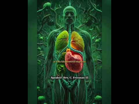 Self Mastery - Bro. C. Freeman El