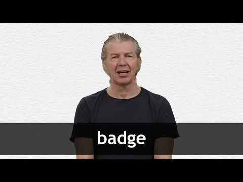 BADGE definition in American English