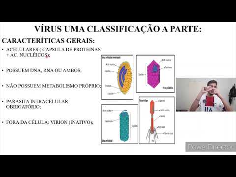Aula: Classificação dos seres vivos em  5 reinos e 3 domínios.