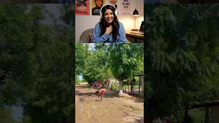 Download lagu Riva Reacts To Viral Videos part 1 #riva #funny #reaction #memes mp3 Download lagu Riva Reacts To Viral Videos part 1 #riva #funny #reaction #memes mp3